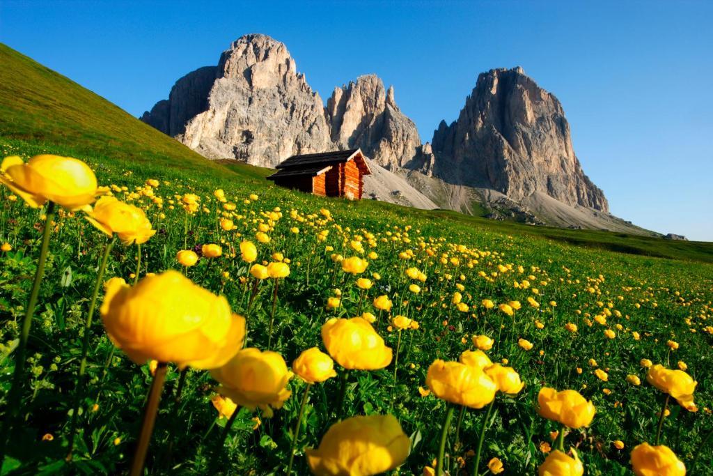 Hotel Col Di Lana Canazei Exteriér fotografie